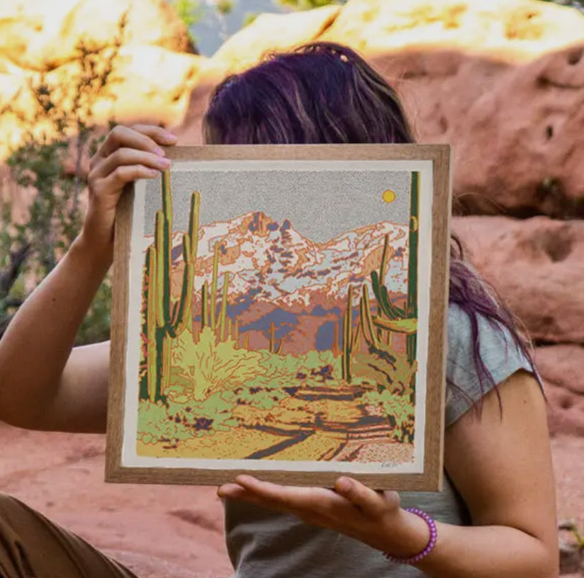 Catalina Desert - 12 x 12 print