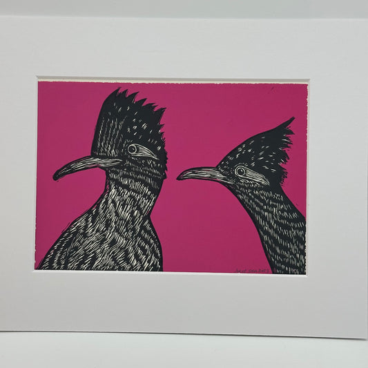 Double roadrunner ~ fuccia ~ 8x10