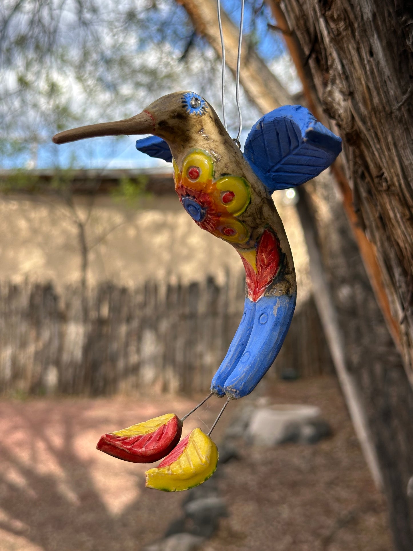 Long Tail Hummingbird - blue Wings