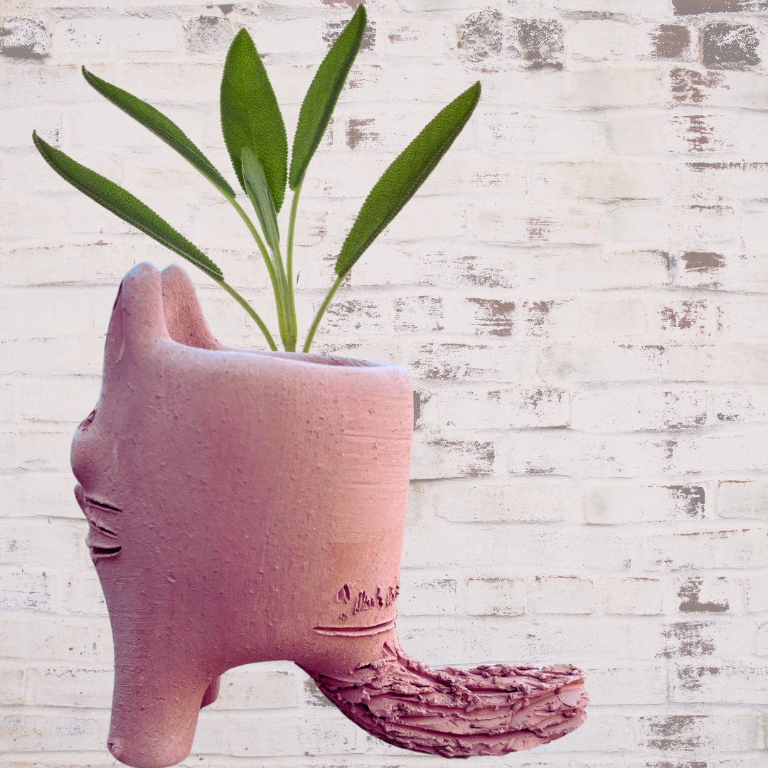 El Gato Terracota planter