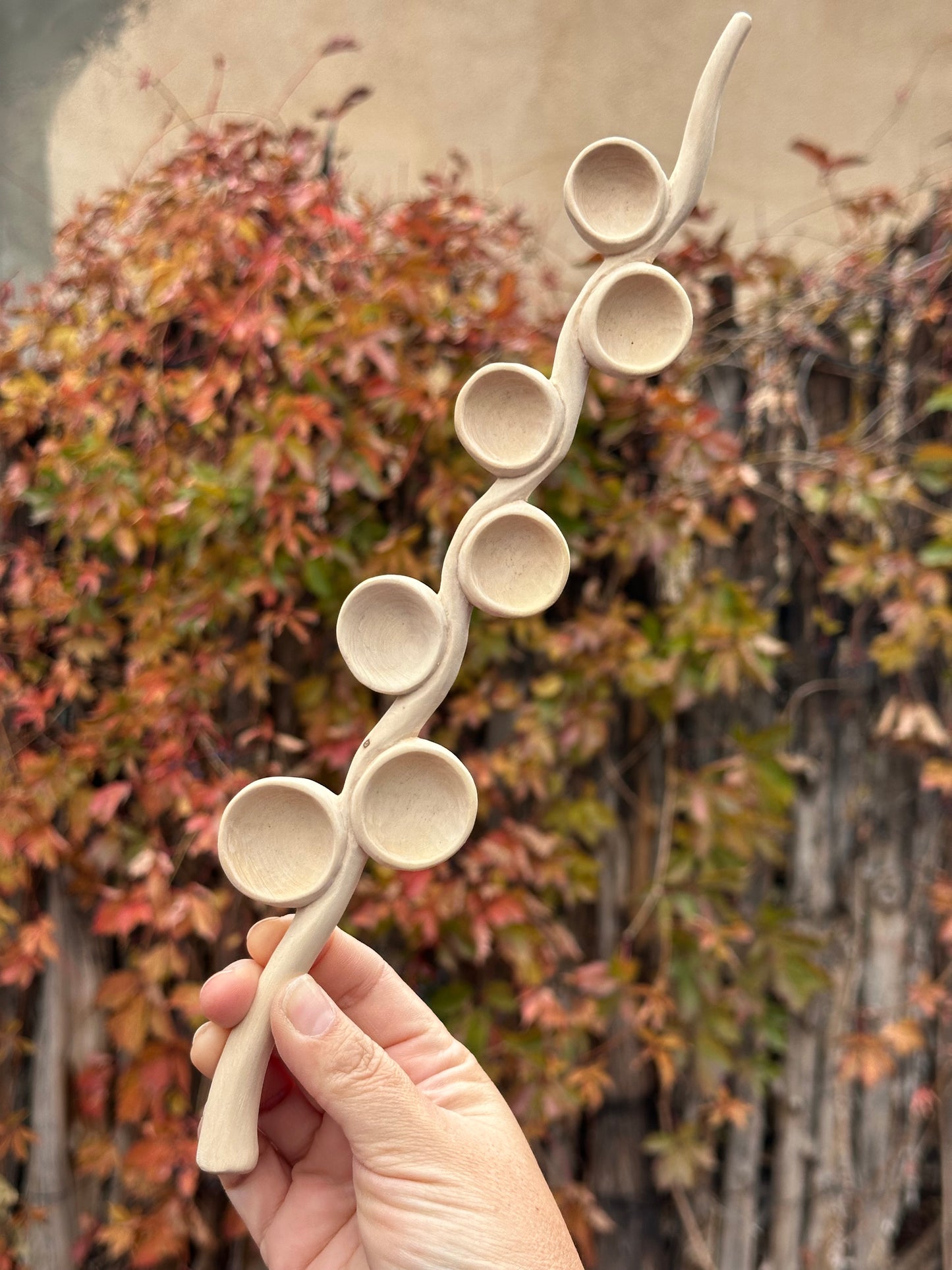 Olive holder ~ handcarved