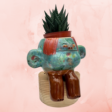 Load image into Gallery viewer, “Tomate” ~ Terracota face planter sitting - Glazed
