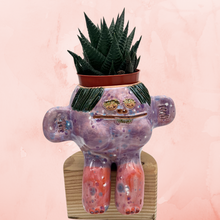 Load image into Gallery viewer, “Tomate” ~ Terracota face planter sitting - Glazed
