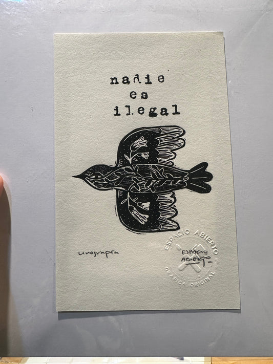“Nadie es Ilegal” Small Lino print