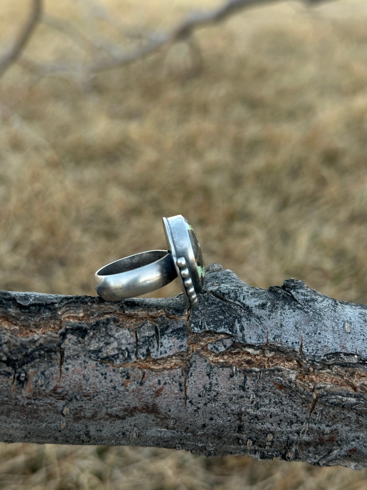 Blue Moon Turquoise and Sterling Silver Ring - size 6