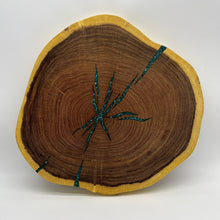 Load image into Gallery viewer, Velvet mesquite and Peruvian turquoise Lazy Susan
