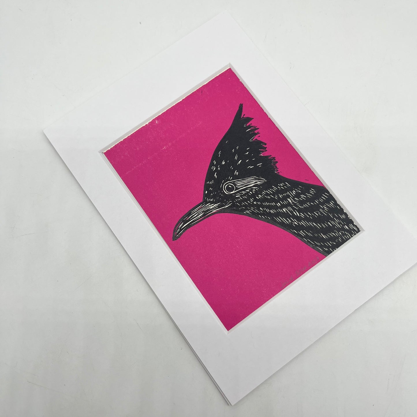 Roadrunner print ~ Pink