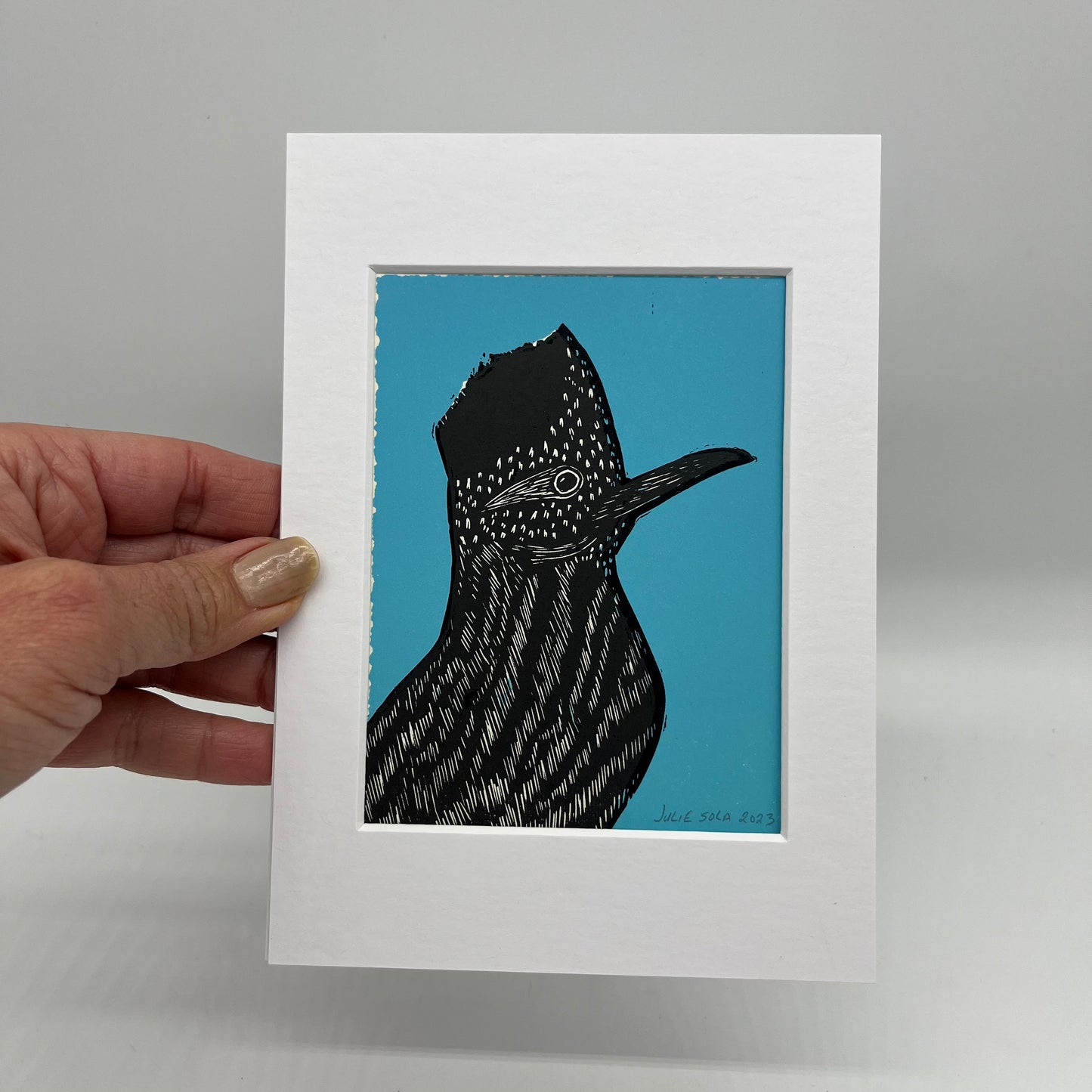 Roadrunner print ~ Turquoise