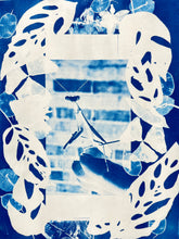 Load image into Gallery viewer, Cyanotype
