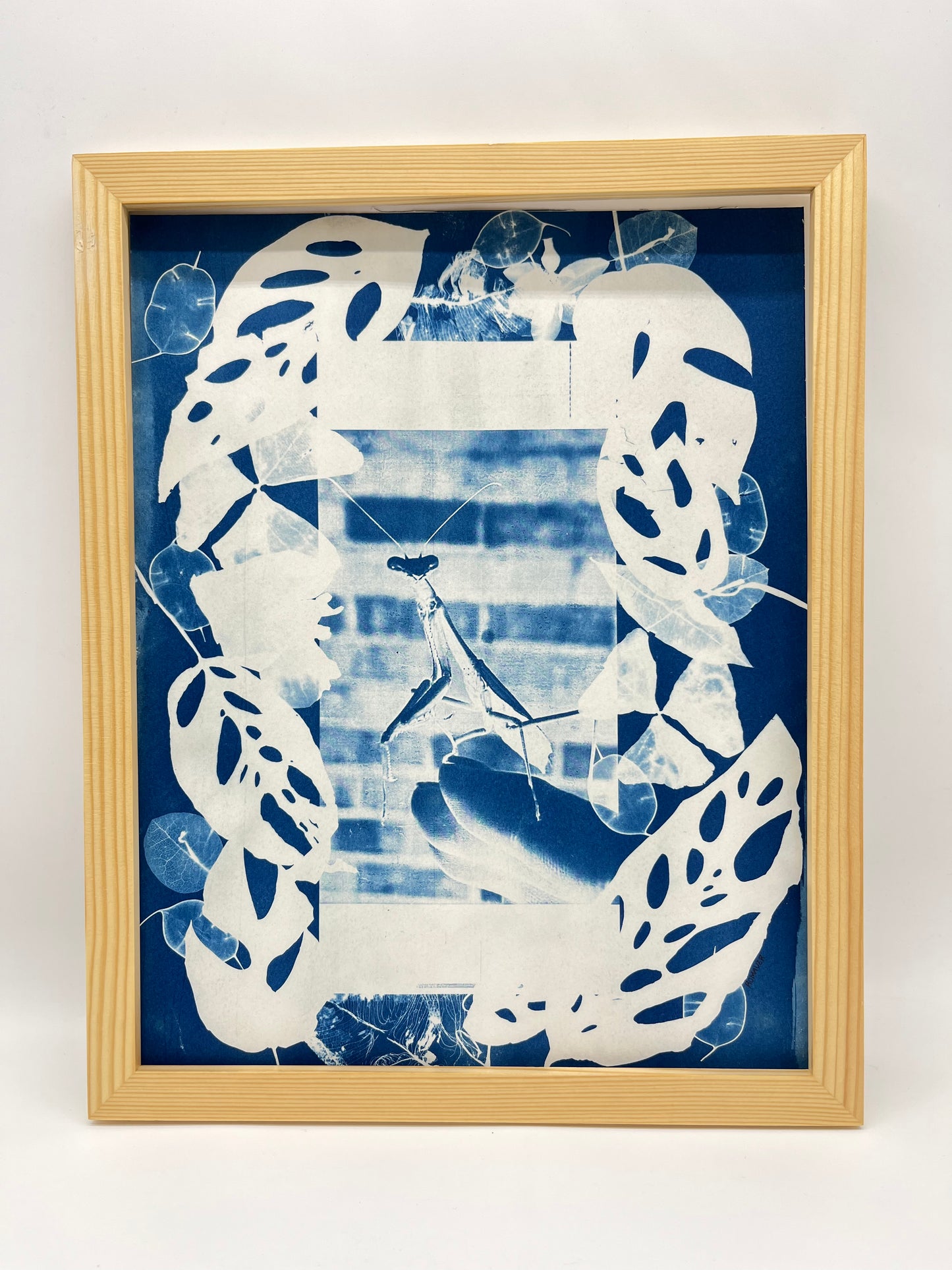 Cyanotype