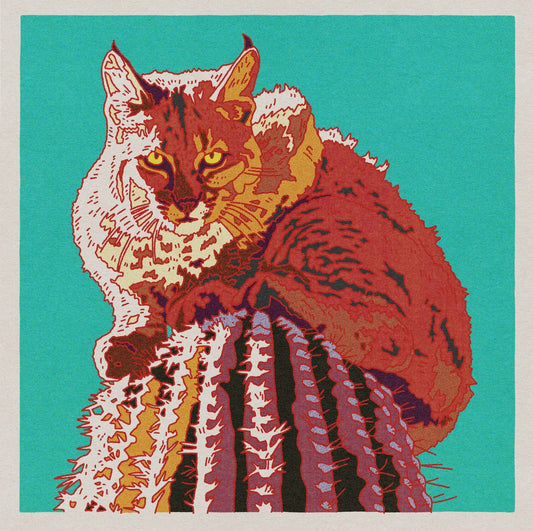 Bobcat Cactus 12 x 12 print