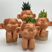 Load image into Gallery viewer, “Tomate” ~ Terracota face planter sitting
