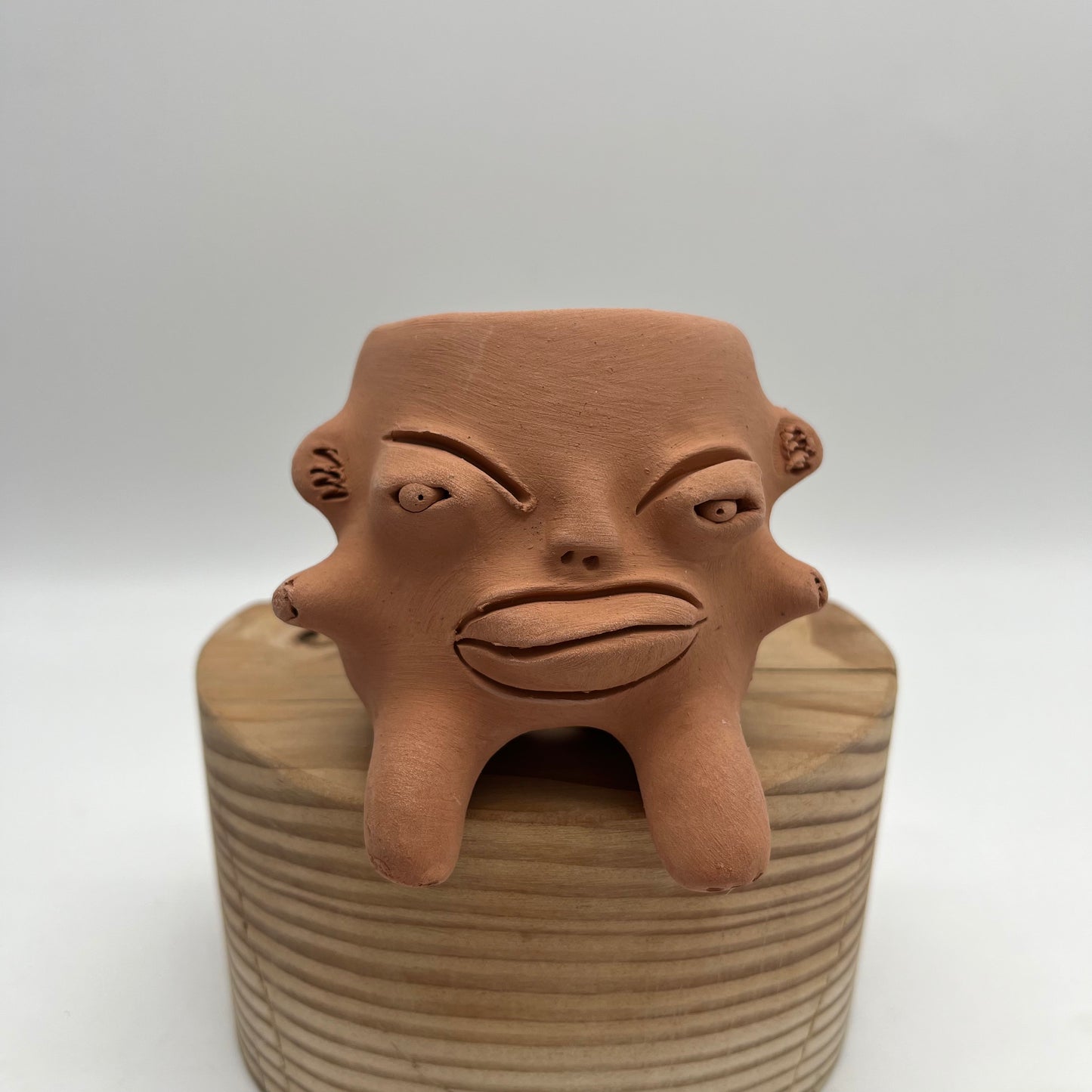 Medium Terracota face planter sitting - Maicito