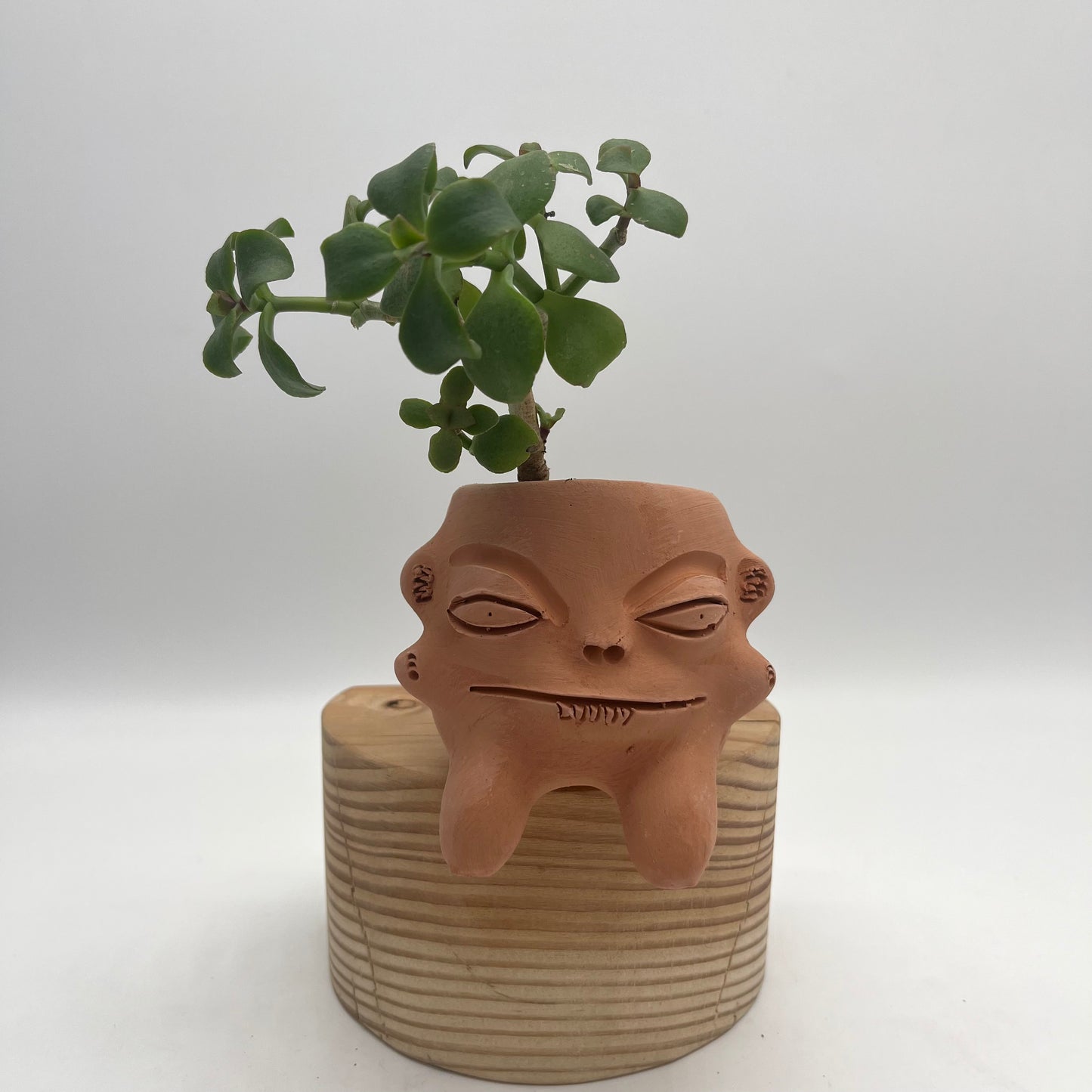Medium Terracota face planter sitting - Maicito