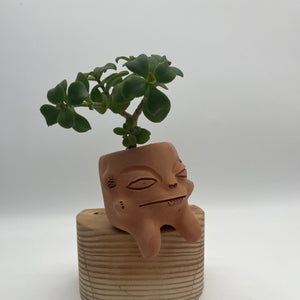 Medium Terracota face planter sitting - Maicito