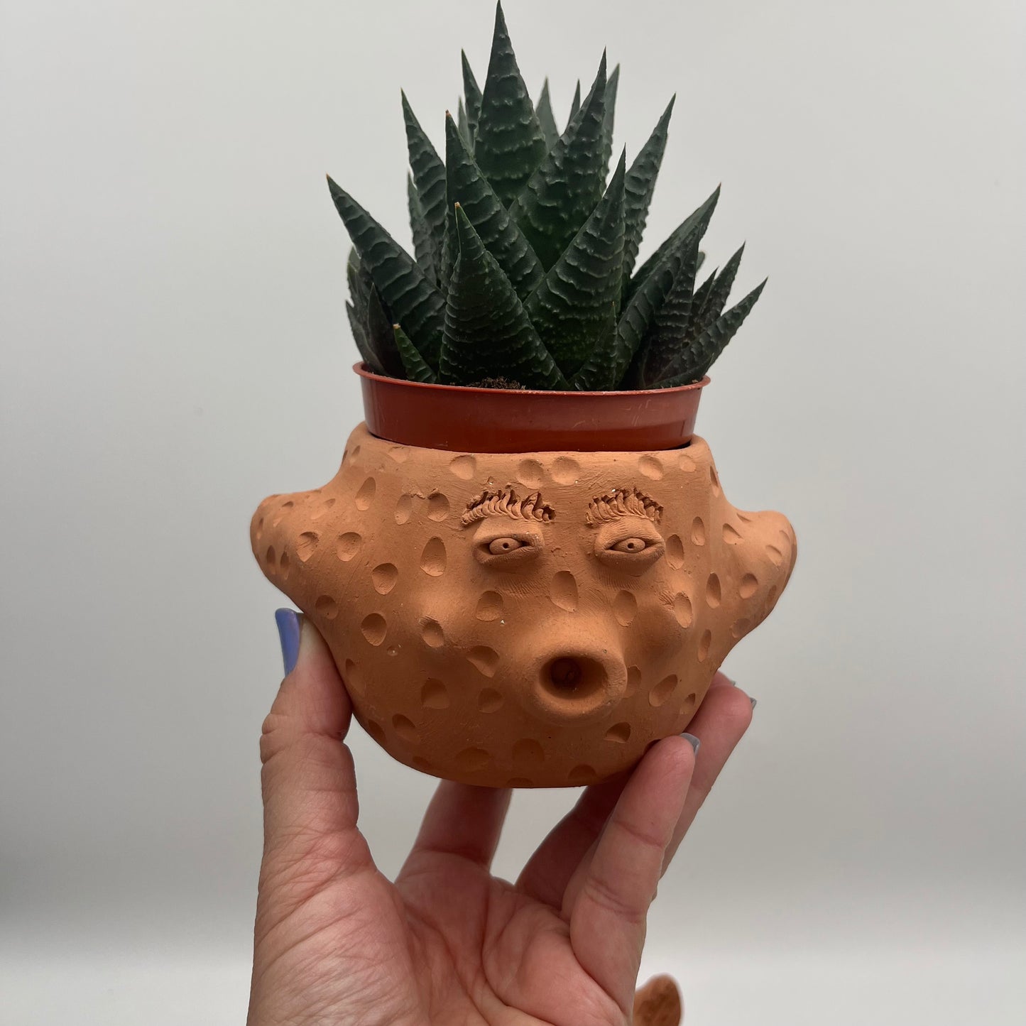 Terracota face planter - pufferfish