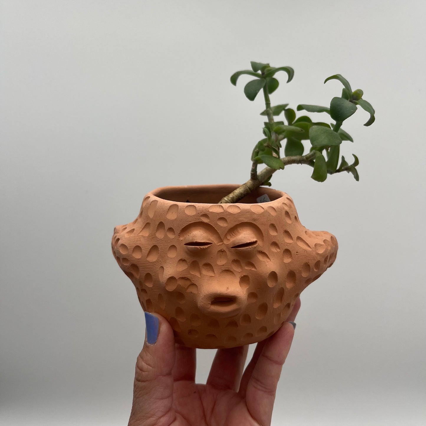 Terracota face planter - pufferfish