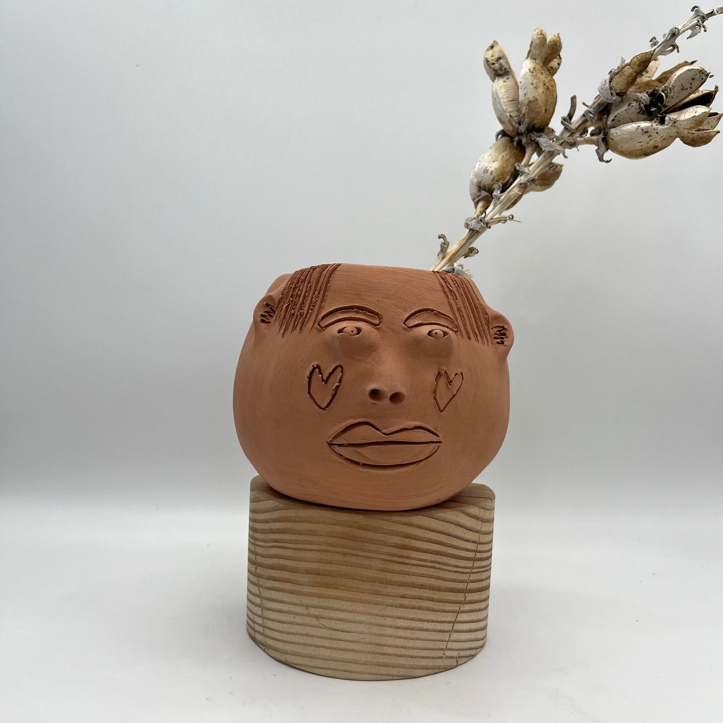 Terracota face planter