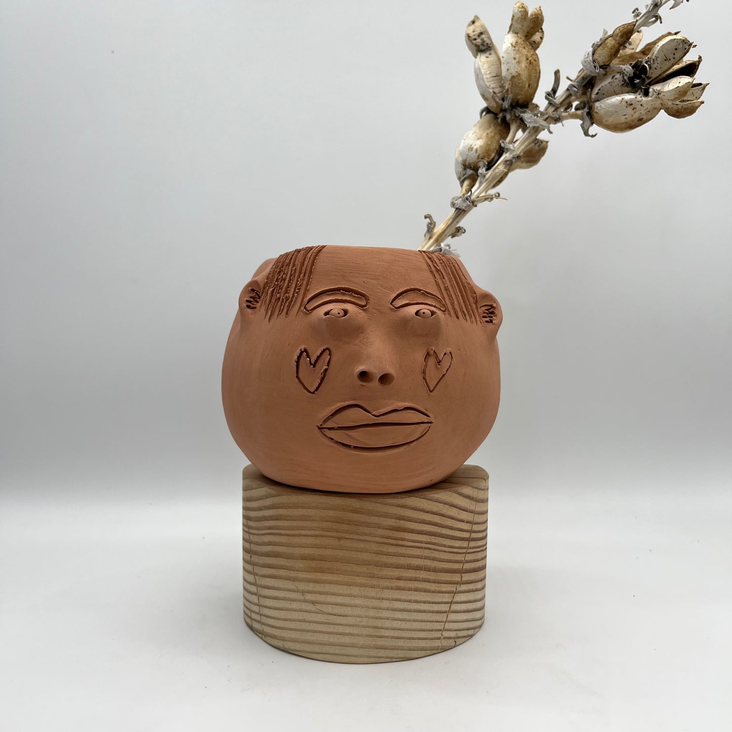 Terracota face planter