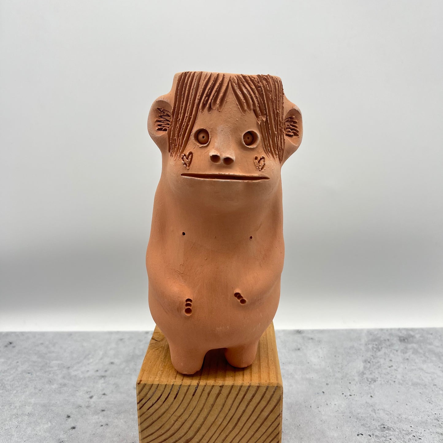 Terracota face planter ~ Cloromilo