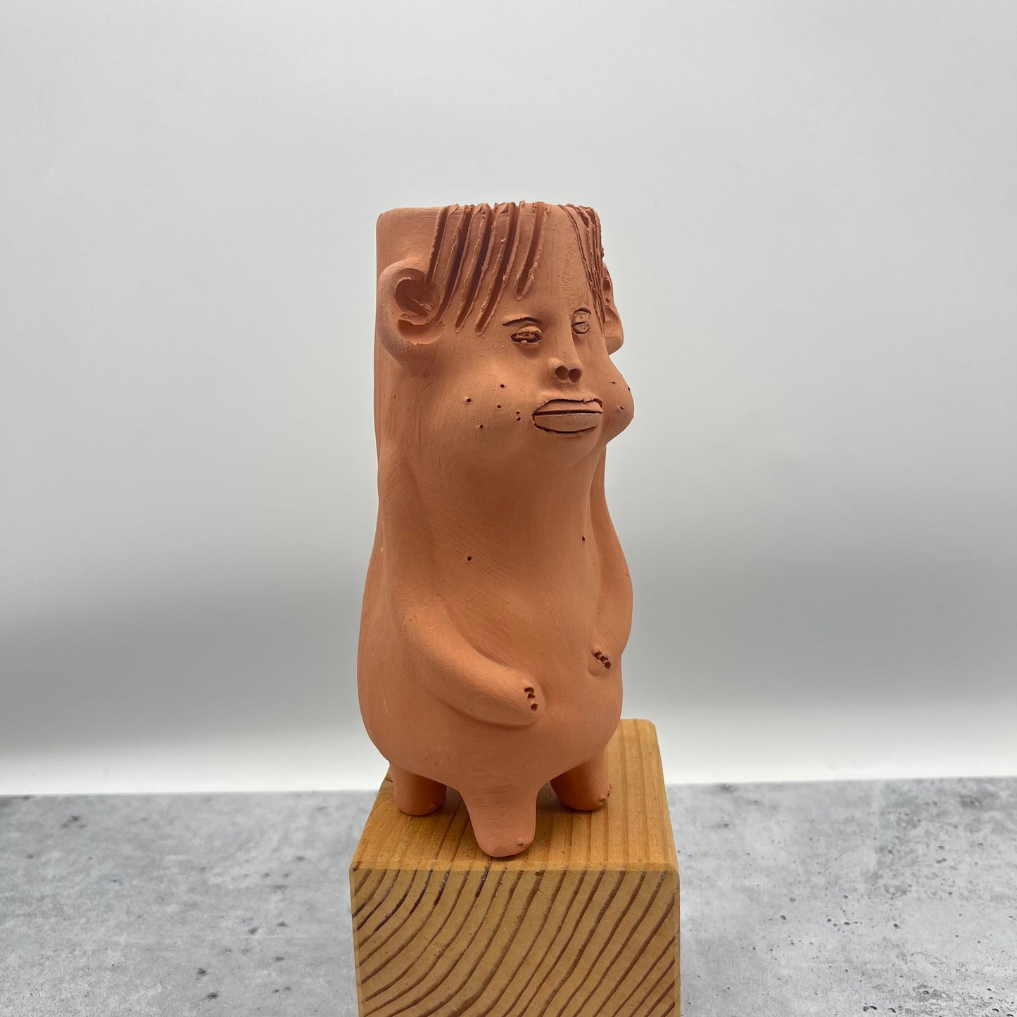 Terracota face planter ~ Cloromilo