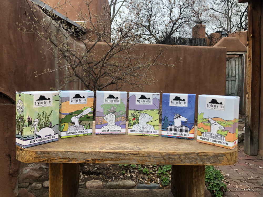 Sagebrush + Snakeweed Botanical Soap