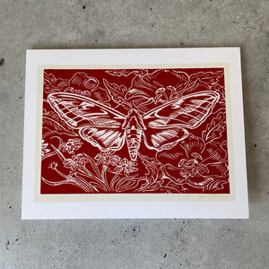 "Sphinx Moth" - Blank Notecards ~ 6 of same image