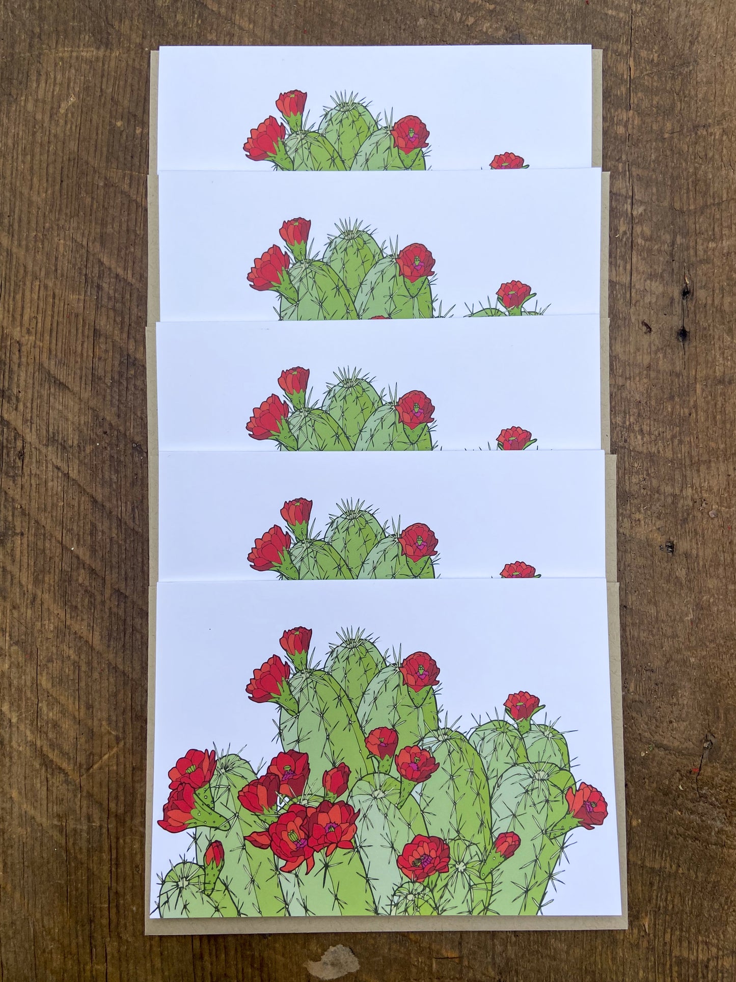 Hedgehog Cactus Greeting Cards - Set of 5