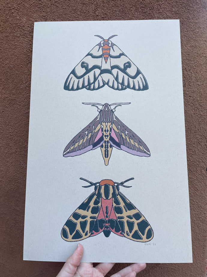Moth Print 11x17 print - craft / off-white paper