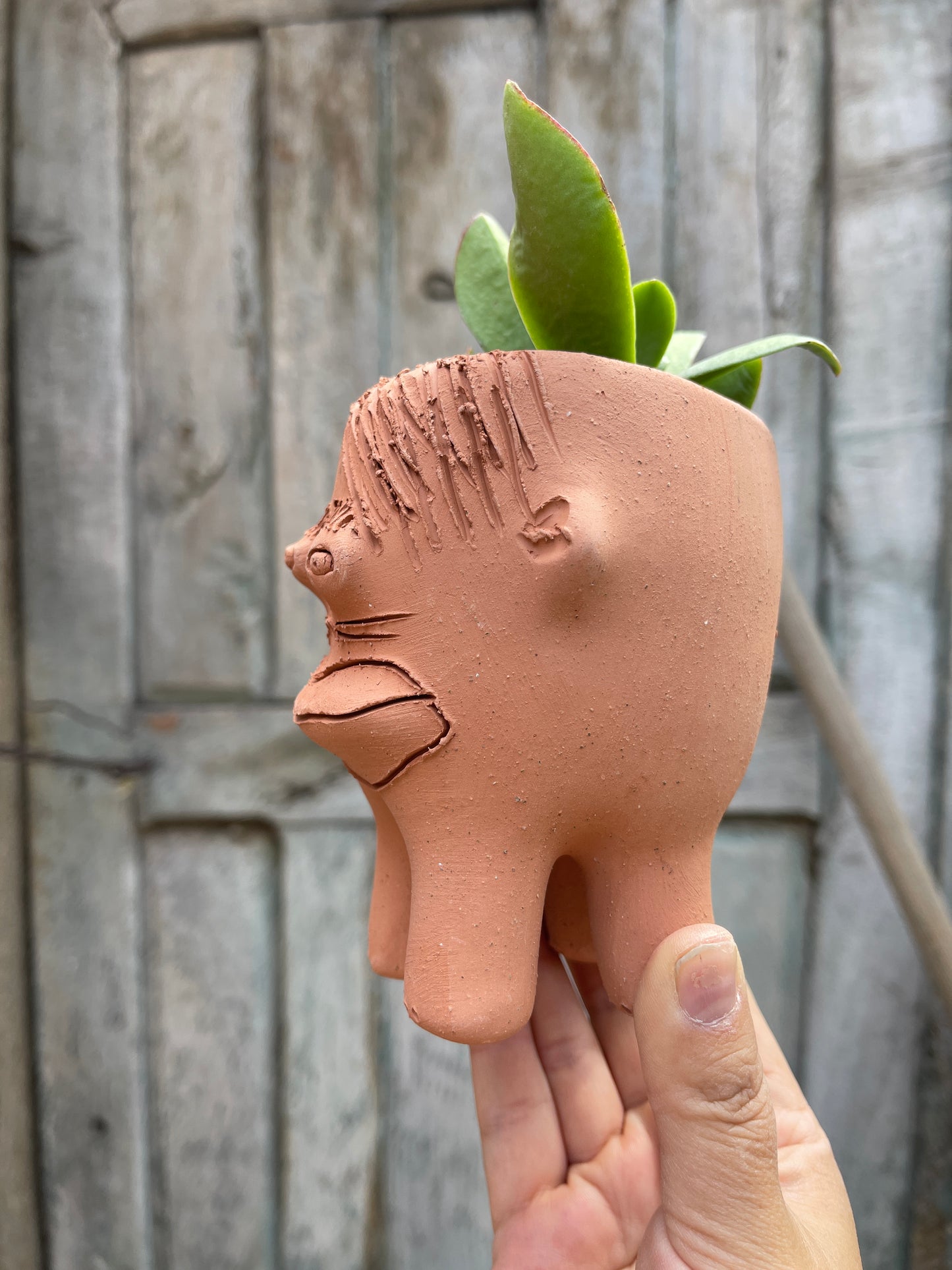 Bigotes ~ Terracota face planter with legs