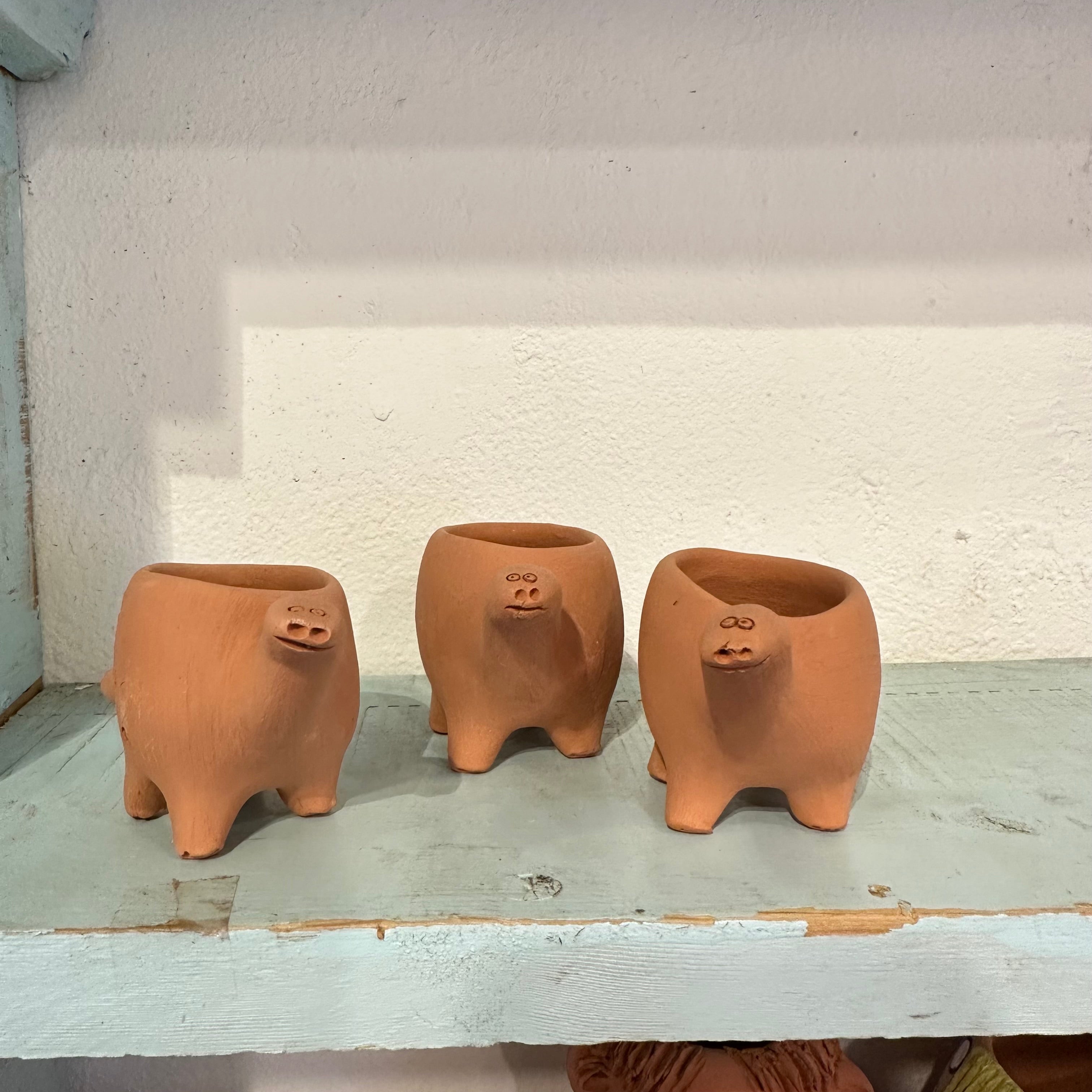 Cuellito ~ dinosaur planter with legs