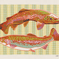 Striped Trout Art Print - Two sizes