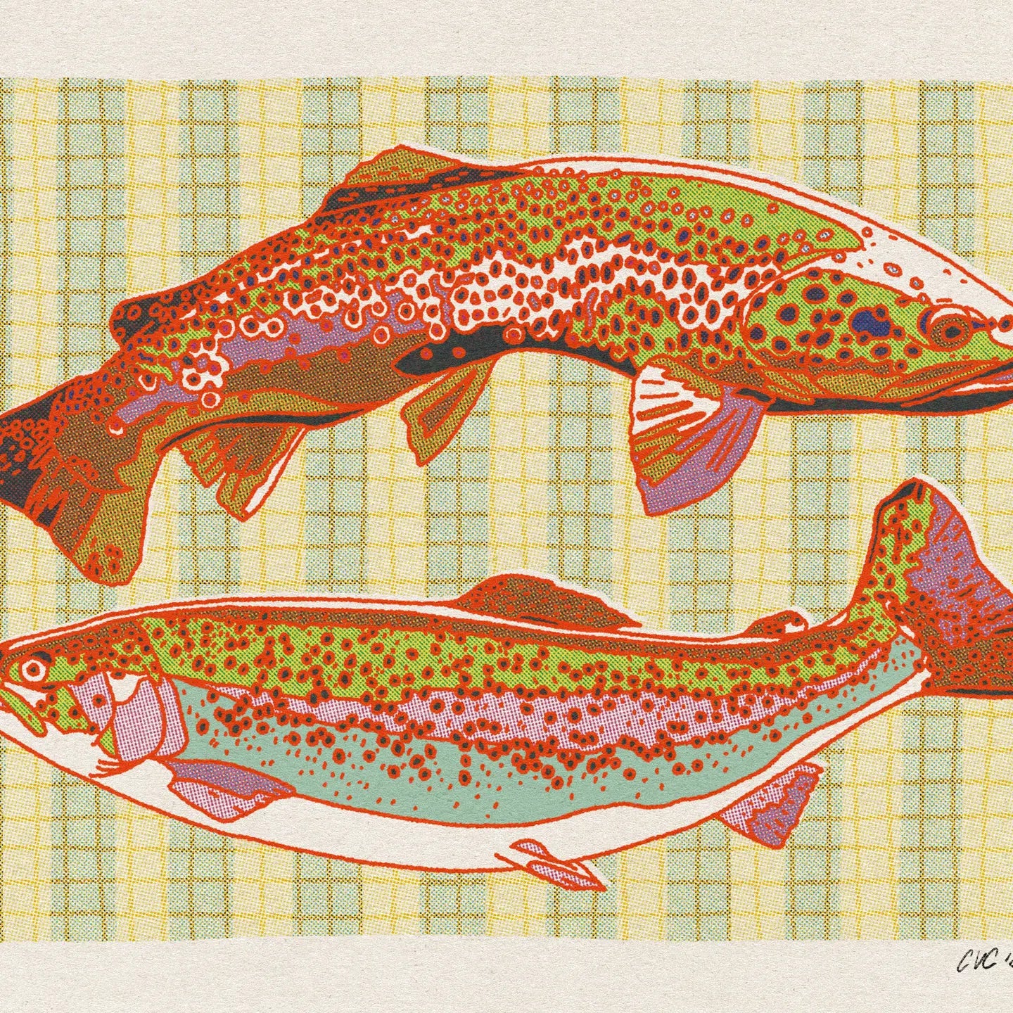 Striped Trout Art Print - Two sizes