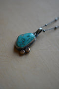 Carico Lake Turquoise ~ Necklace ~ Sterling Silver & bronze