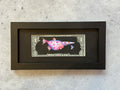 Dollar Migrante - Original illustrations - Framed