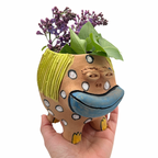 Terracota face planter ~ glazed