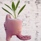 El Gato Terracota planter