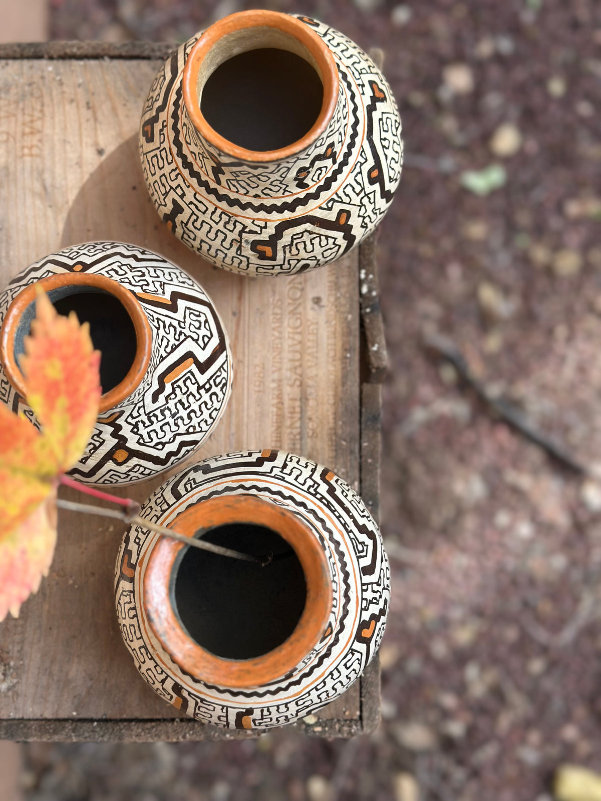 Shipibo Ceramic - Vessel