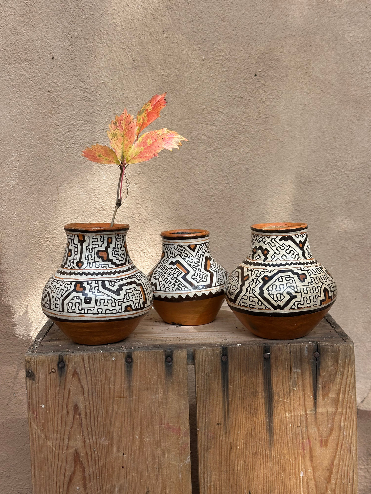 Shipibo Ceramic - Vessel