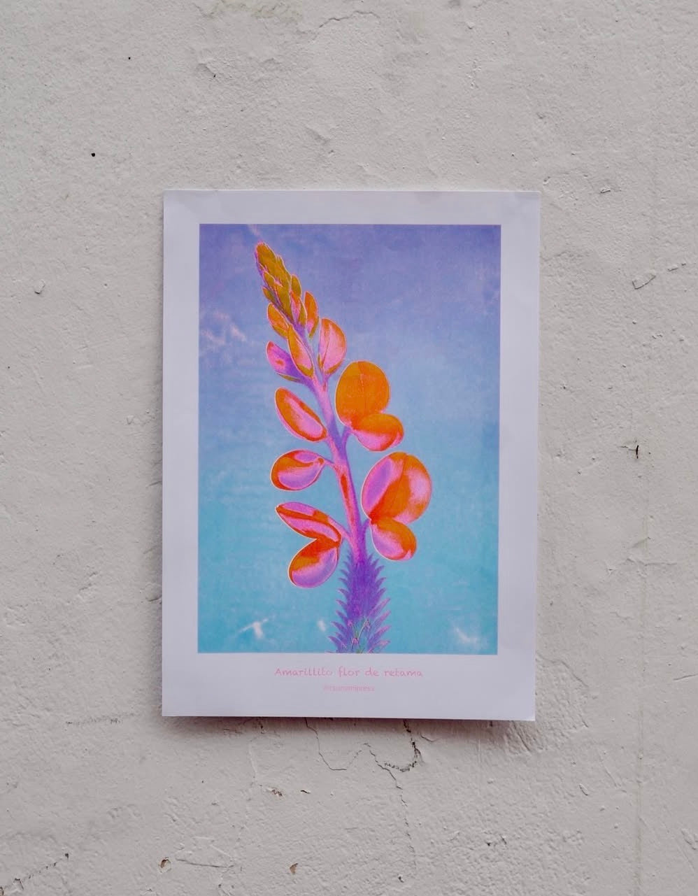 Flor de Retama - Risograph Print