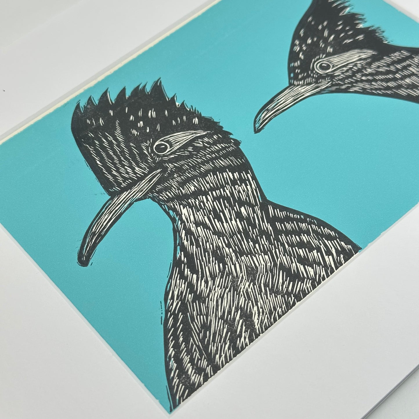 Double roadrunner ~ turquoise ~ 8x10