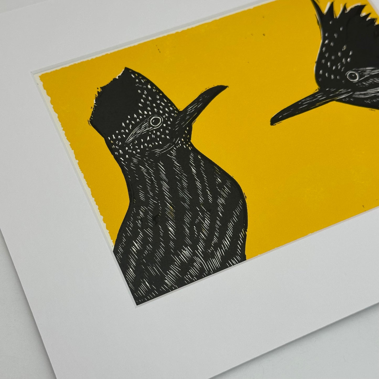 Double roadrunner ~ yellow ~ 8x10