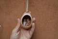 Egg Ornamento ~  Nativity scene