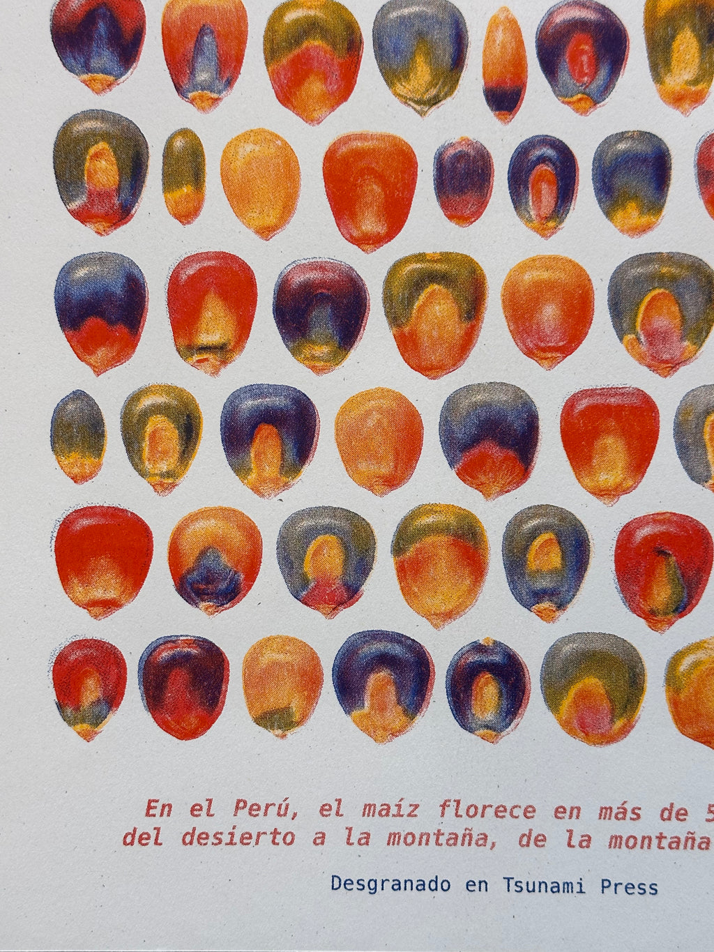 Granos de Maiz - Risography