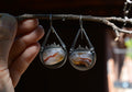 Mexican Agate dangle earrings - Sterling Silver