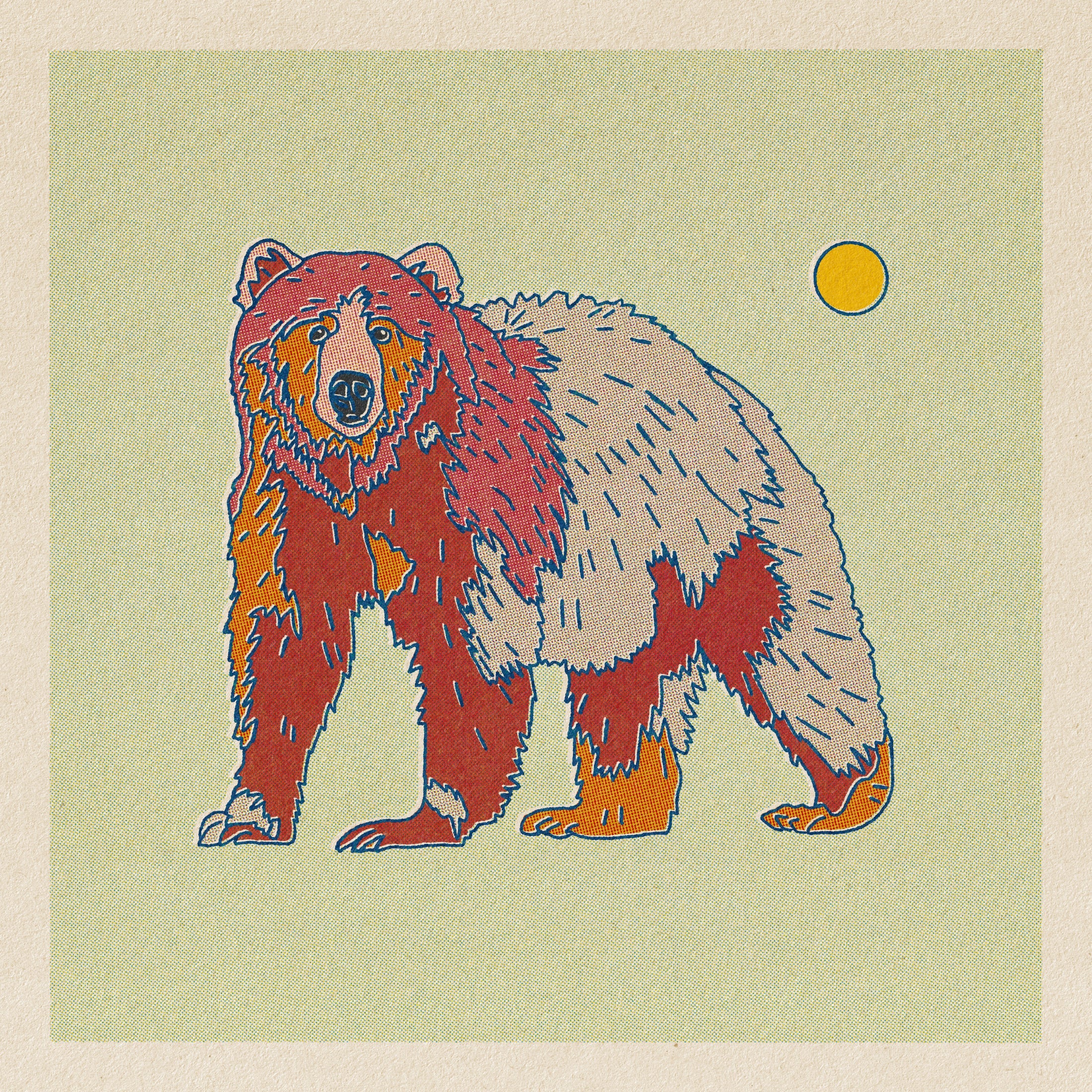 Rainbow Bear • 12”x 12” print