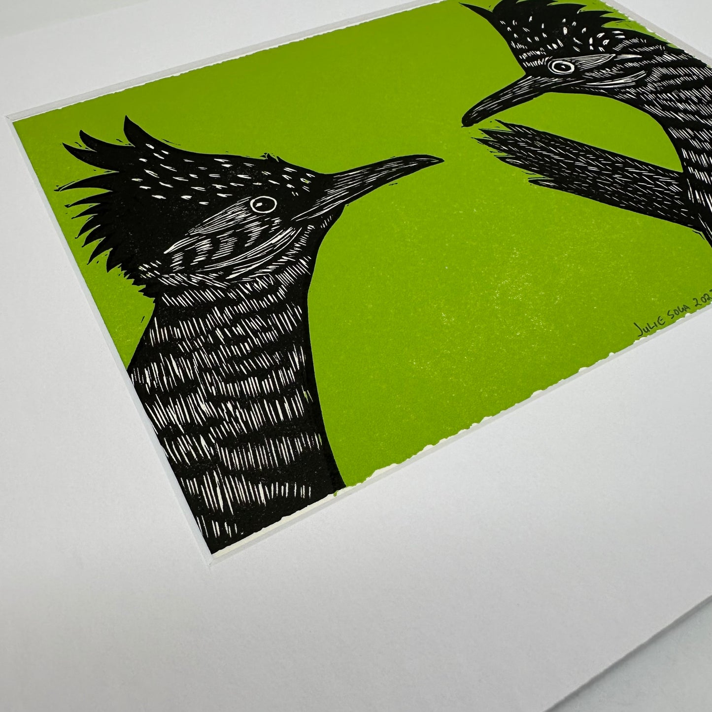 Double roadrunner ~ green ~ 8x10