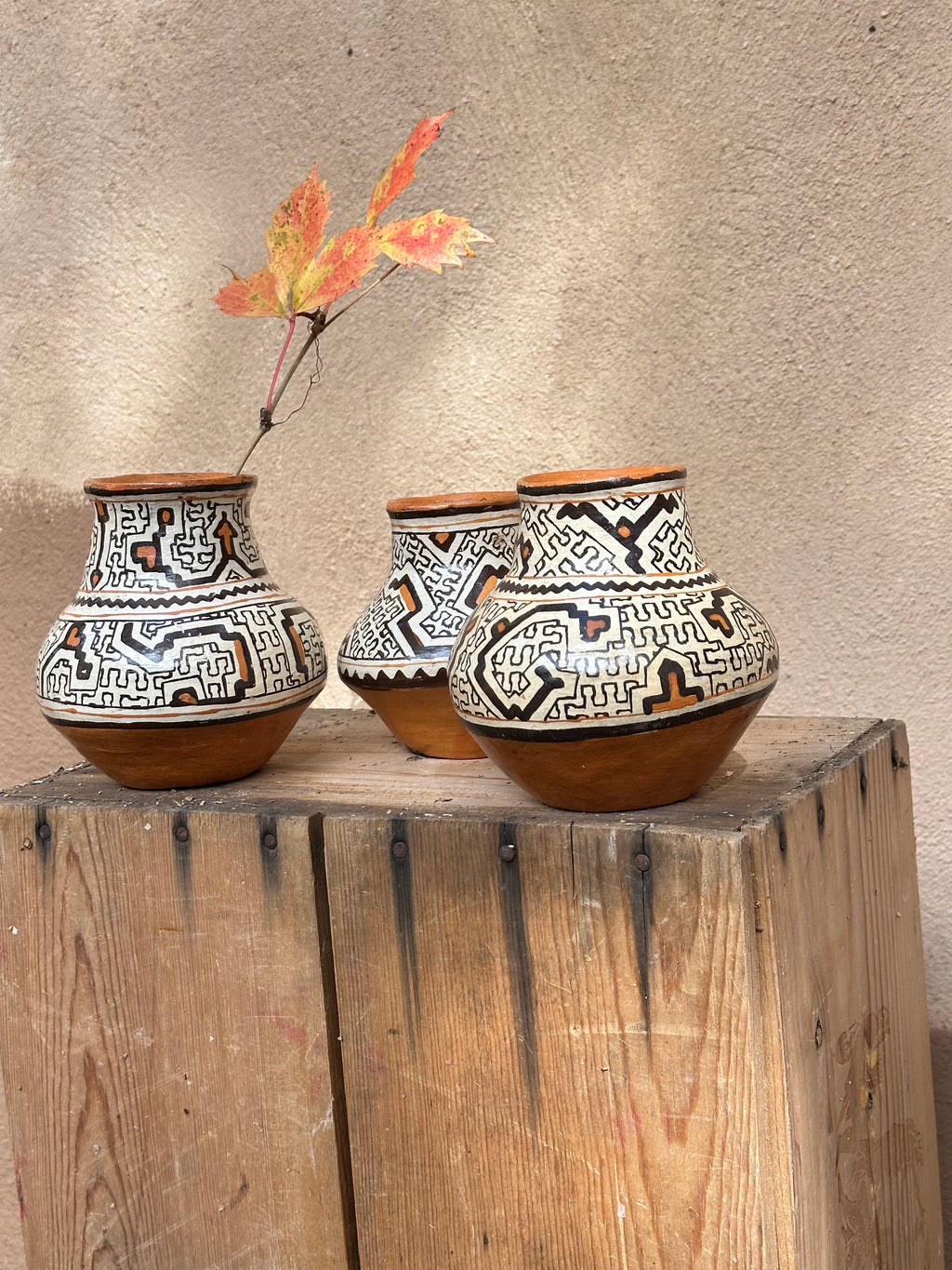 Shipibo Ceramic - Vessel