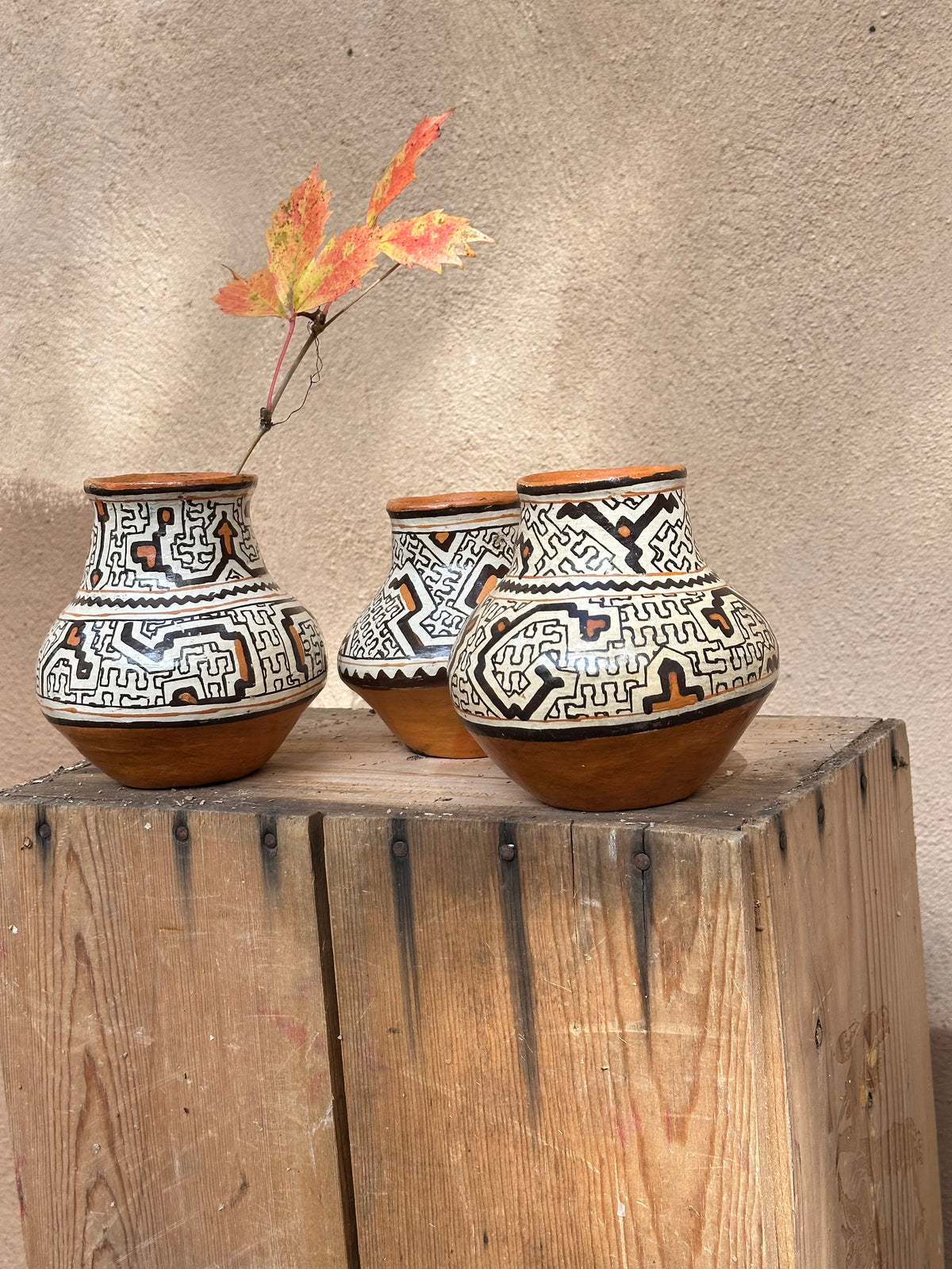 Shipibo Ceramic - Vessel
