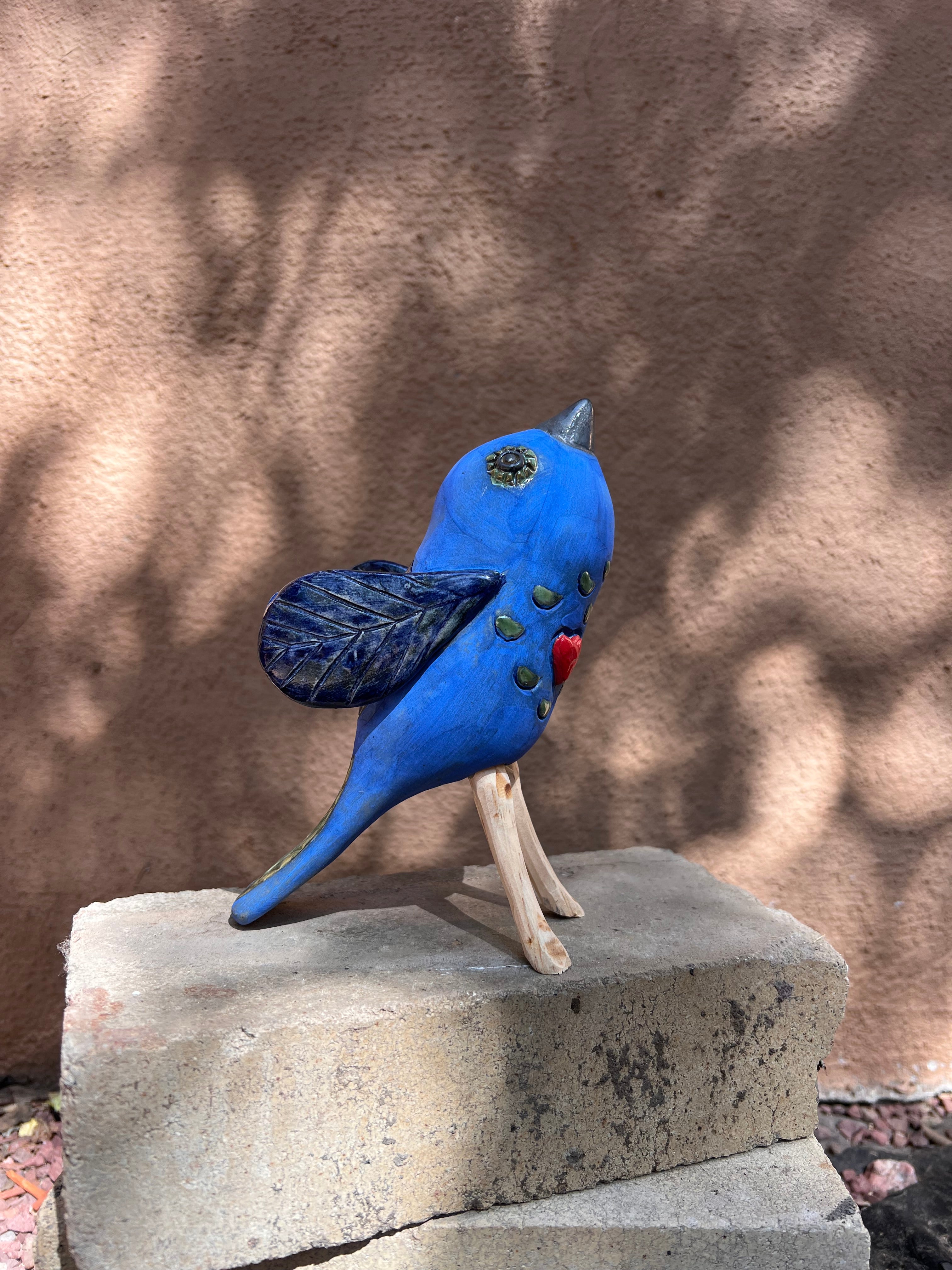 Blue Bird Sitting